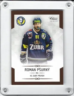 Pšurný Roman OFS Chance Liga 2018-19  č.107